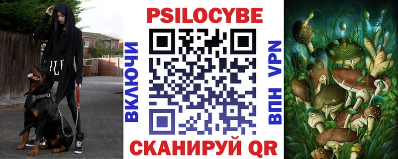 Галлюциногенные грибы Cubensis  где продают   Валдай 